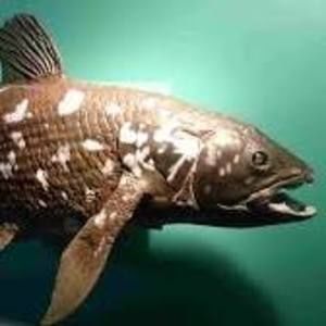 Meet your Posher, Richard